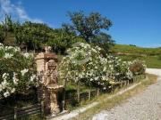 Fattoria Ficulle Terni DS96323015