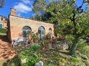 Fattoria Foiano della Chiana Arezzo DS71083494