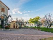 Fattoria Magione Perugia ES96323146