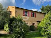 Fattoria Magliano in Toscana Grosseto DS94474176