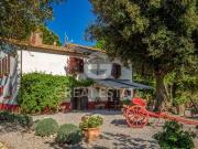 Fattoria Manciano Grosseto DS97114403