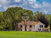 Fattoria Manciano Grosseto ES97114403