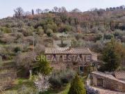 Fattoria Montalcino Siena DS92153176