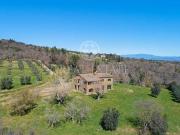 Fattoria Monte San Savino Arezzo DS96322500