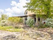 Fattoria Parrano Terni DS97114418