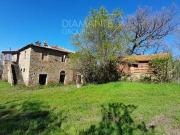 Fattoria Passignano Sul Trasimeno Umbria ELS96321805