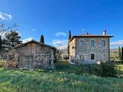 Fattoria Pienza Siena ES97114431