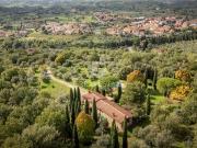 Fattoria Reggello Firenze DS97114386