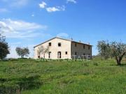 Fattoria San Casciano dei Bagni Siena ES96322208