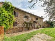 Fattoria San Gimignano Siena ES97114389