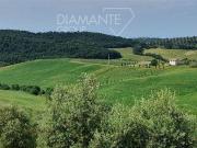 Fattoria Scansano ToscanaTuscany DLS82173443