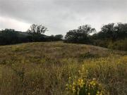 Fattoria Scansano ToscanaTuscany ELS96308627