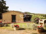 Fattoria Semproniano Grosseto ELS96323140