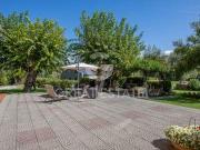 Fattoria Tuoro sul Trasimeno Perugia ES94921468