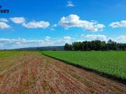 Fazenda 115 Hectares em Planaltina DF ! 10.000.000 !
