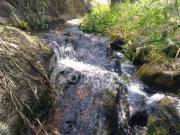 Fazenda 203 Hectares com Estrutura para Pecuária e Lago...