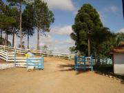 Fazenda 210 hectares em Barbacena/MG