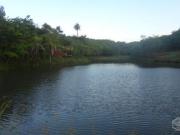 Fazenda 21 hectares a 20 km de Lagoa Santa/MG