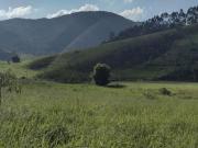 Fazenda
