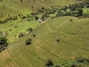 Fazenda 300 HEC/ leiteira* Sul de MG