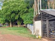 Fazenda 67 hectares em Unaí Gado e Agricultura