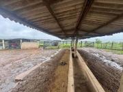 > FAZENDA 96,8 HECT. NA REGIÃO DE LUZIÂNIA GO