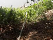 Fazenda a 13 km de Corinto/MG