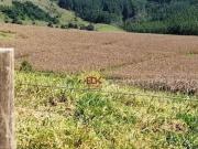 Fazenda à venda, 1379400 m² por R$ 10.000.000,00 Rio...