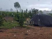 Fazenda à venda, 142 alqueires paulista por R$ 5.490.000...