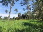 Fazenda à venda, 1500400 m² por R$ 7.750.000,00 Res...