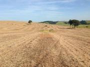 Fazenda à venda, 350 alqueires por R$ 128.000.000 Região...