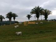 Fazenda à venda, 5977400 m² por R$ 18.000.000,00...