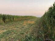 Fazenda à venda, 87 Alqueires por R$ 22.000.000 Alambari/SP