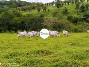 Fazenda a venda em Anápolis GO 1.487 HA 2.500 pastos...