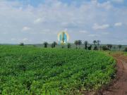 Fazenda à venda em Brumadinho/MG