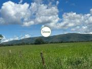 Fazenda a venda em Buritis MG 453 HA TODA FORMADA EM...