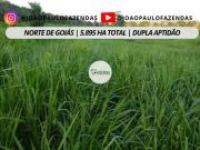 Fazenda a venda em Campos Belos GO 5.859,01 HA LAVOURA e...