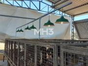 fazenda à venda em Centro