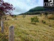 Fazenda à venda em Guaratinguetá SP, Estrutura completa...