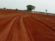 Fazenda a venda em Santa Cruz de GoiÃ¡s!