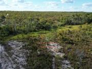 FAZENDA À VENDA ESTADO DO TOCANTINS MG EXCELENTE...