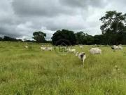 Fazenda à venda no Montes Claros em Mina Gerais