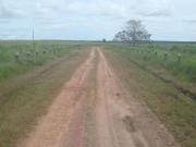FAZENDA A VENDA PARA PECUÁRIA