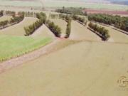 FAZENDA A VENDA PRÓXIMO A PARANACITY PR