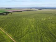Fazenda a venda, RegiÃ£o Pedro Afonso Tocantins!
