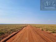 FAZENDA AGRÍCOLA — CAMPO GRANDE/MS, 3.200 hectares faz 235
