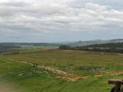 Fazenda Alambari 87 alqueires