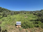 Fazenda Alcudia De Crespins Valencia 90485977