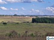 FAZENDA ALEXANDRE GUSMÃO RODEADOR BRAZLÂNDIA 45 HECTARES...