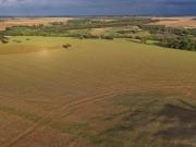 Fazenda Anápolis Goiás GO Grande Potencial para...